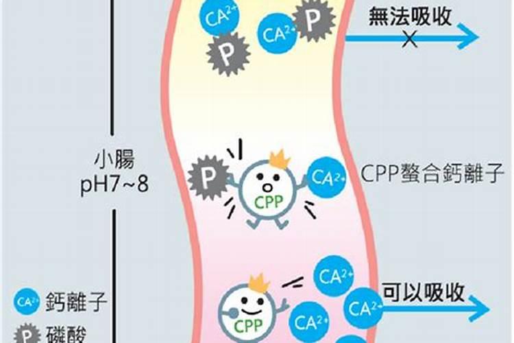 糖醇钙能和磷酸二氢钾一起用吗