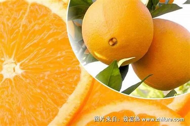 刚种的脐橙可以用什么肥料呢？
