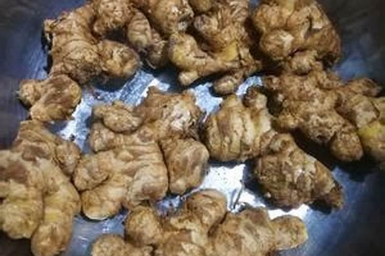 小黄姜种植周期的注意事项有哪些？