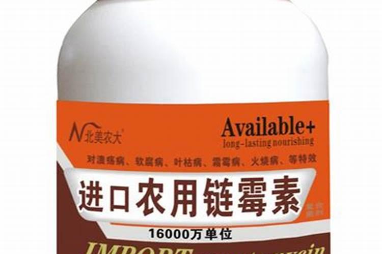 芋头烂根病有打什么药水