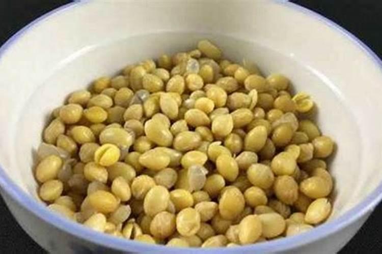 黄豆水发酵变臭怎么浇花
