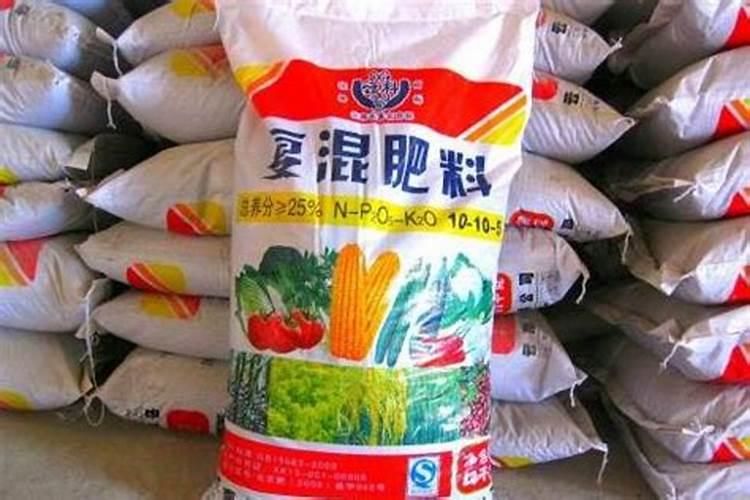 玉米追肥,用什么肥最实惠