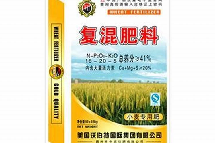 种小麦怎么施肥