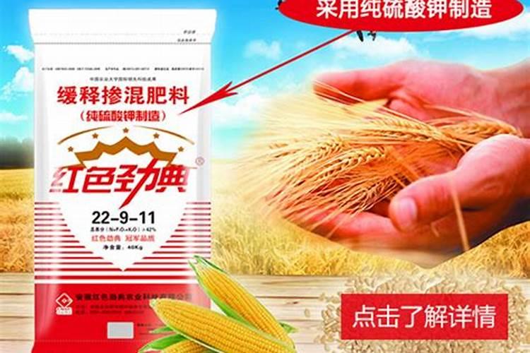 种小麦用什么肥料好