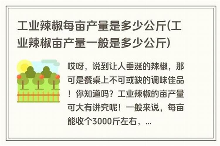 辣椒地用肥哪个配比最好