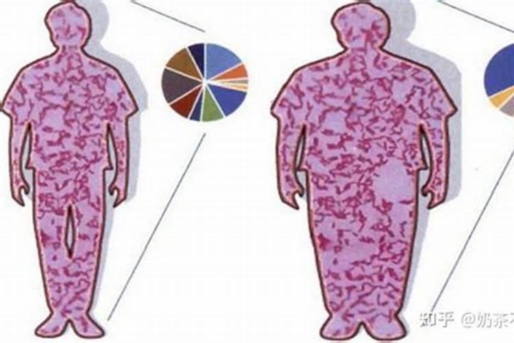 想增肥吃哪种益生菌