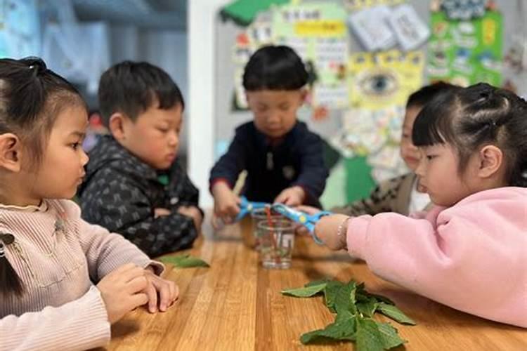 西红柿叶绿素喷多了开花速度延迟变慢怎么补救
