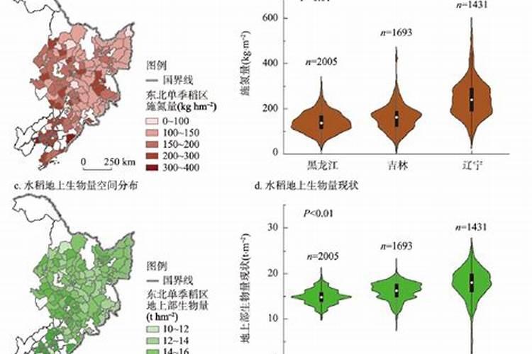 北方粳稻区目前采用较多的施肥方案是什么？水稻吨田宝可以省多少肥？