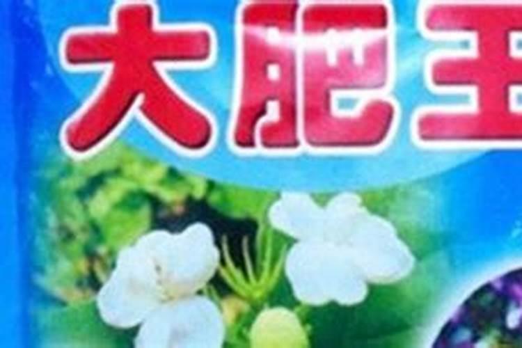 生物工程公司经营范围有哪些