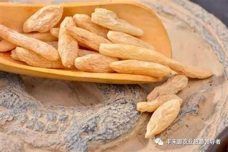 种冬小麦光用磷肥可以吗