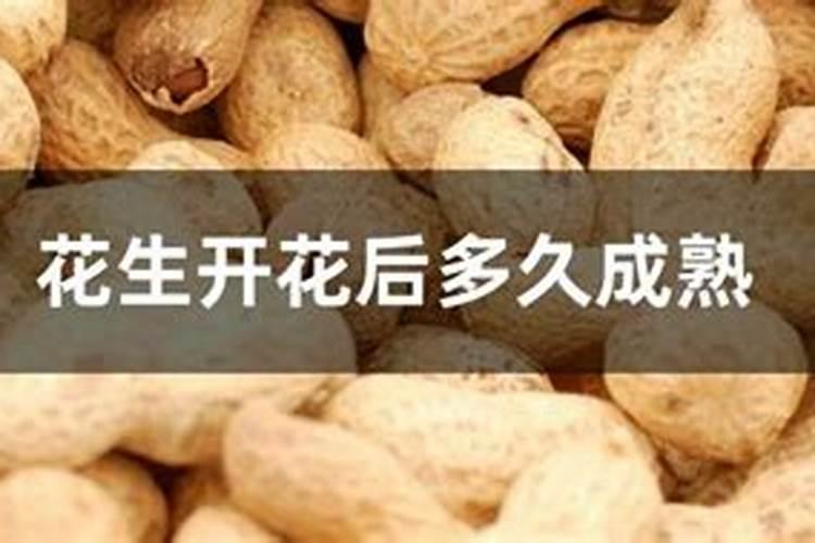 花生不同生长阶段的追肥要点