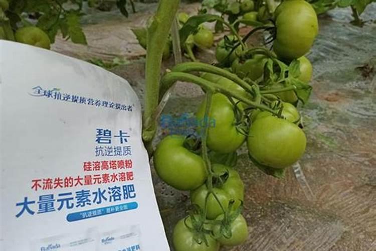 水溶肥料的密度是多少
