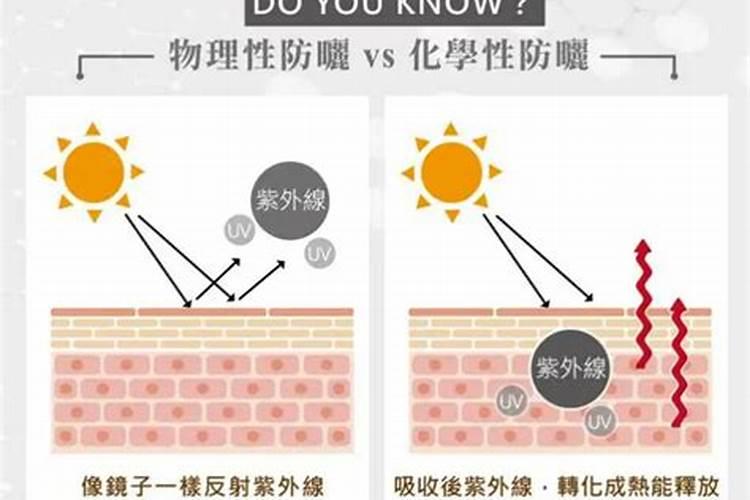 纽贝伦鱼蛋白片简介
