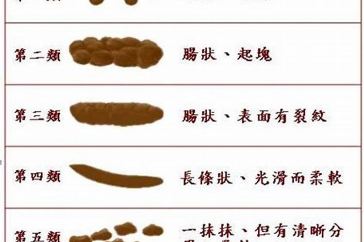哪些东西含有氮肥