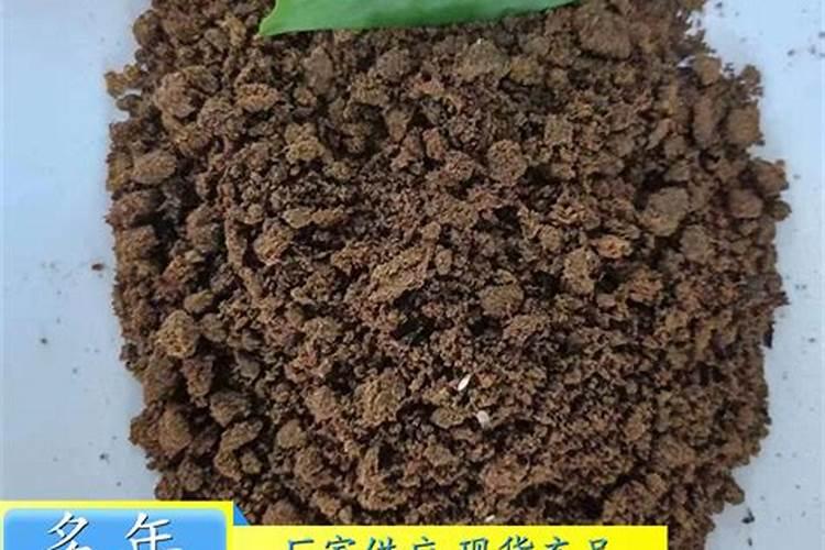 种植大葱怎么施肥能高产？