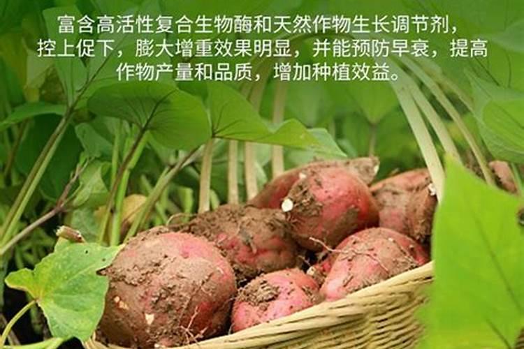 施可丰聚核双控失增值氮肥怎么样