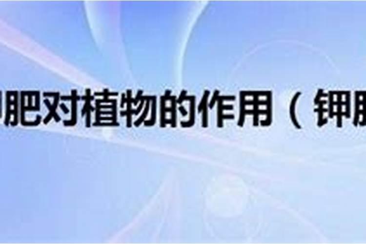 小非农植物栽培