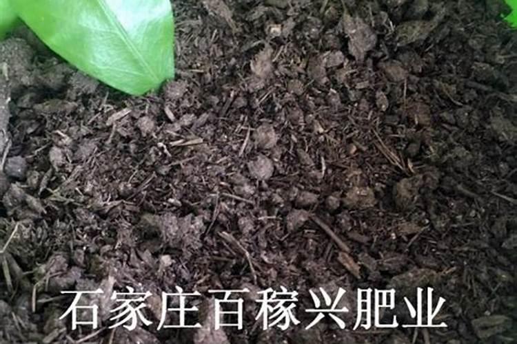 红薯底肥的正确方法