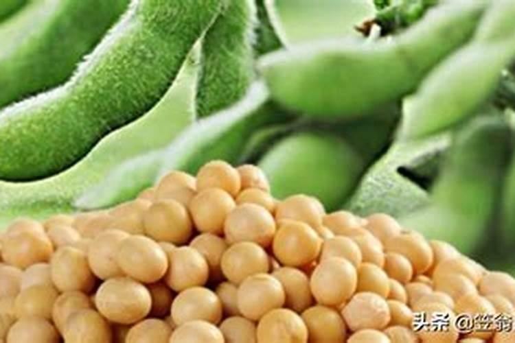 豆角叶面肥有哪些？给豆角喷施什么叶面肥效果好呢？
