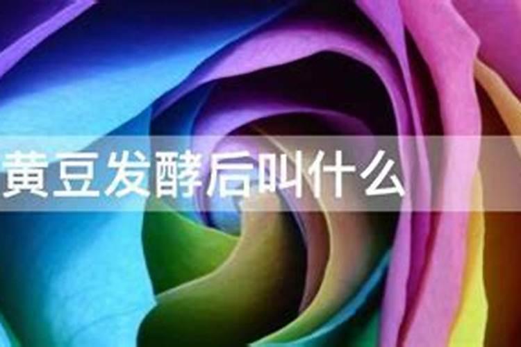 黄瓜浇什么肥料合适