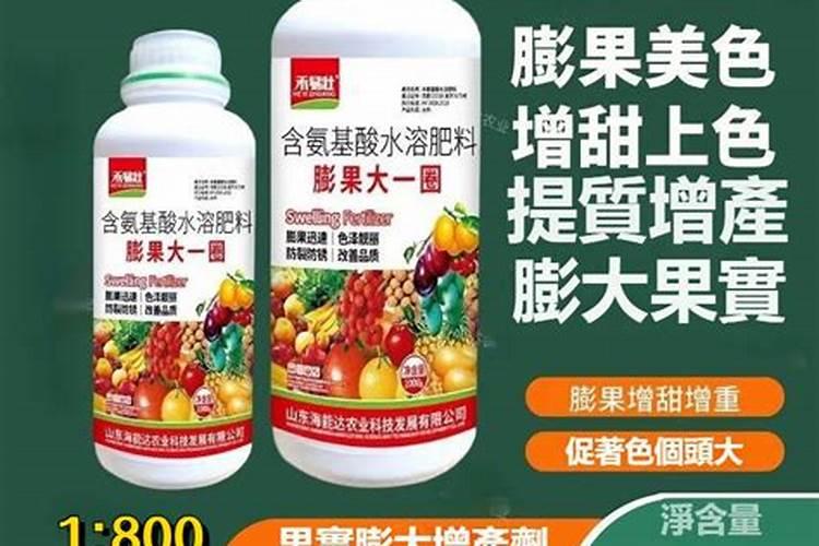 草莓初花期冲什么肥