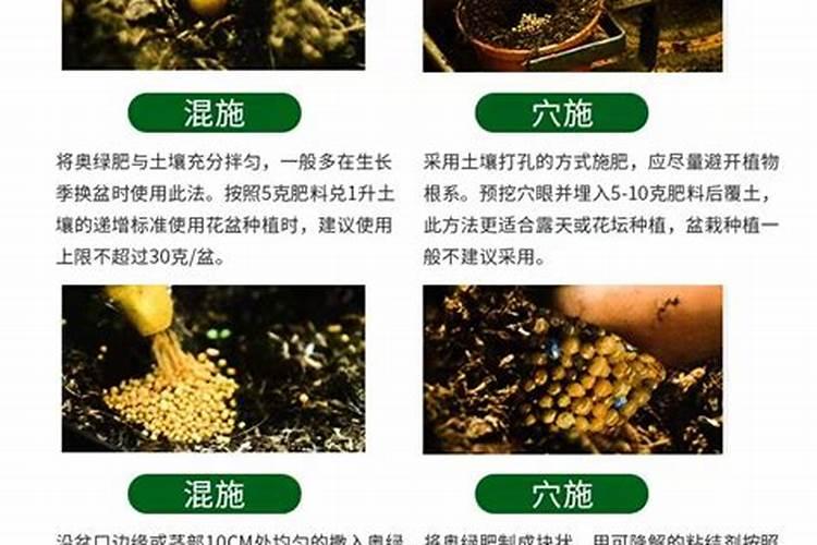 倒的按树怎么办