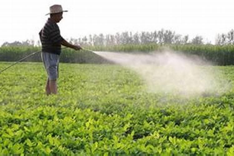 中国知名叶面肥生产厂家有哪些,那家做的比较好？