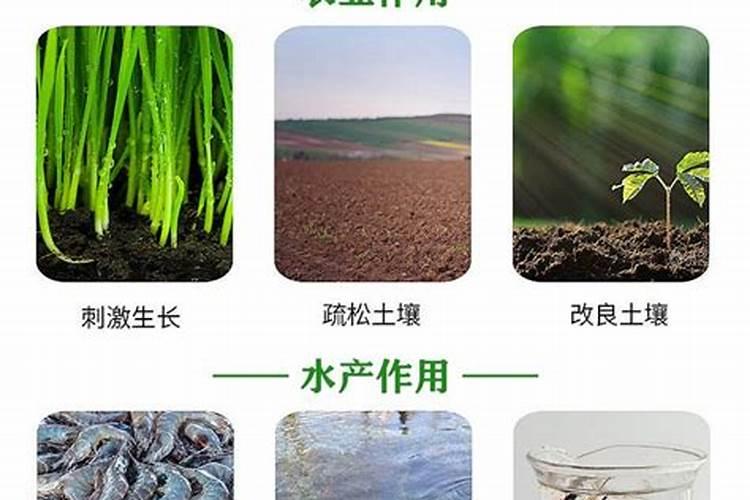 腐殖酸对土壤的作用有哪些
