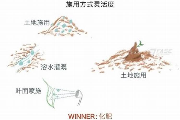 中国什么时候开始生产化肥
