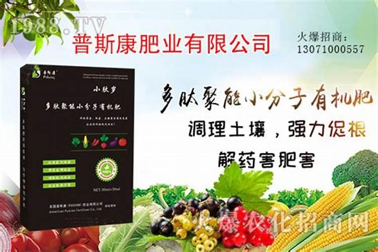 种的大蒜叶子发黄怎么办