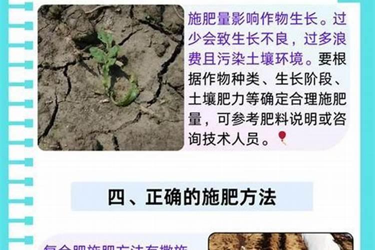 什么可以当肥料浇花,养花的氮肥有哪些