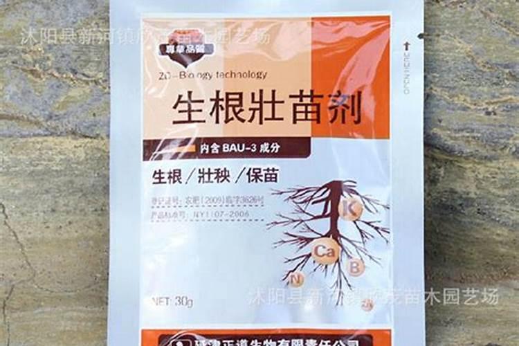 想要“开花爆”,一分钟教你做“磷钾肥料”