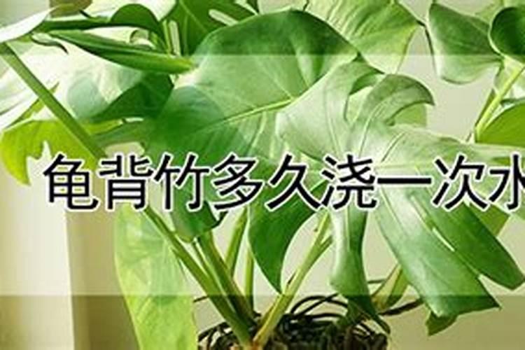大量元素和微量元素的划分依据