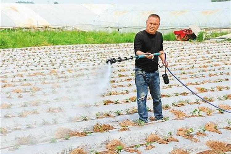 水溶钾肥能直接打叶子吗？