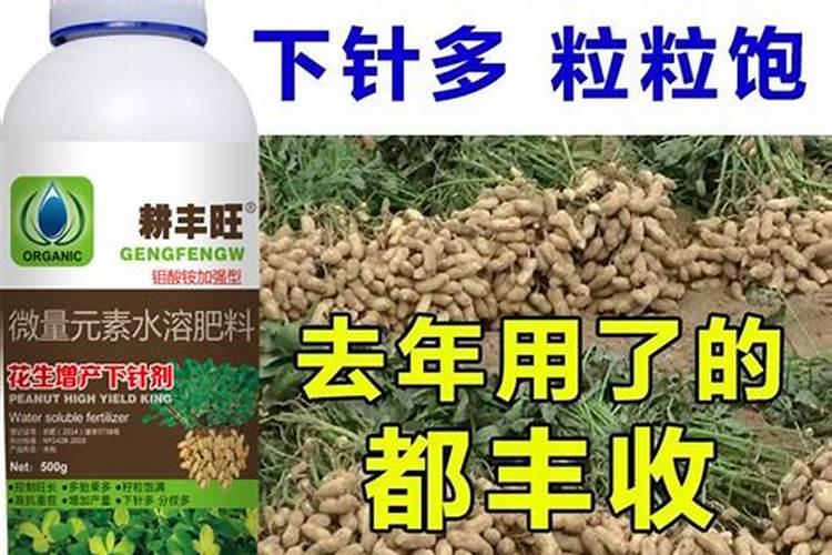 花生用什么肥最好