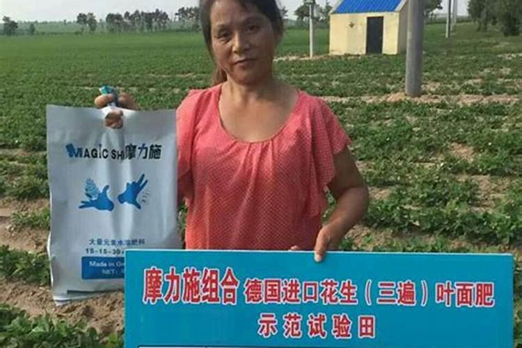 花生对于肥料的需求有哪些 哪种叶面肥可促花生高产