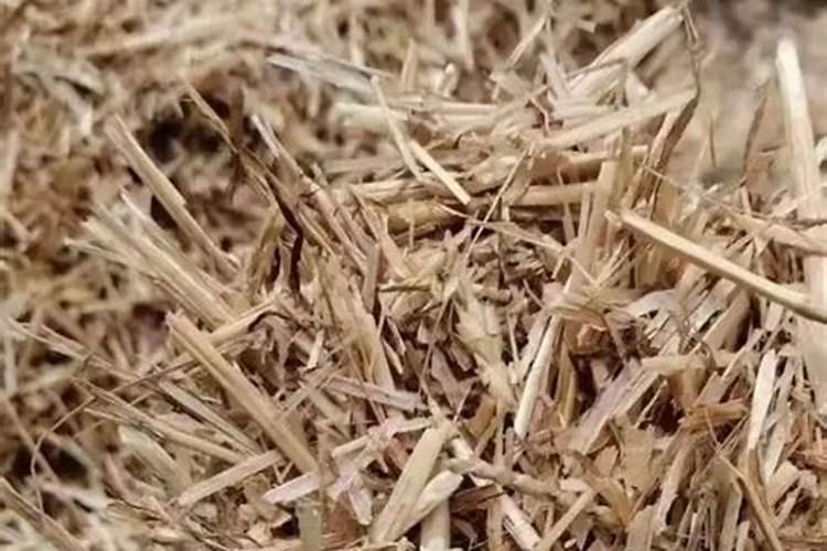 花生叶面肥用什么高产 什么时候施肥好