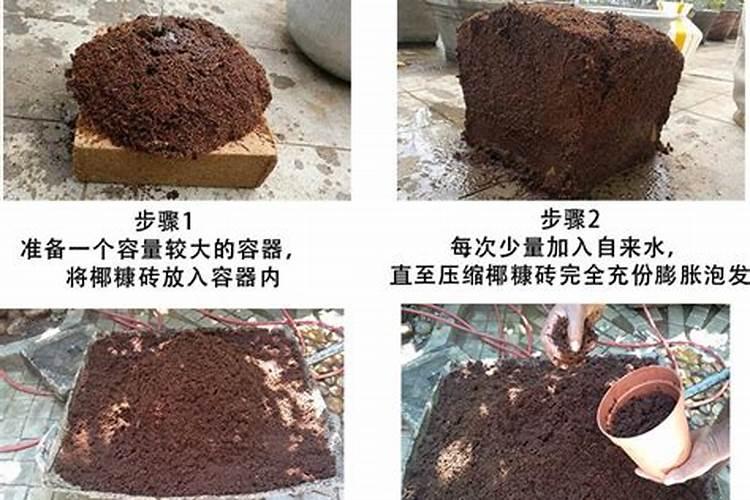 什么肥料养花比较好 养花用什么肥料