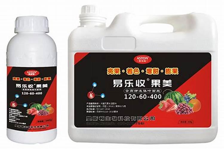 大棚夏黑葡萄种植管理技术