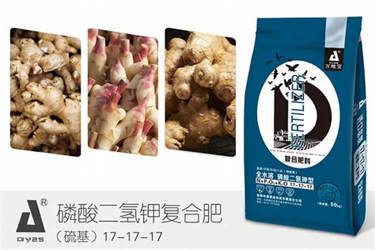 尿素可以对水喷施生姜吗？