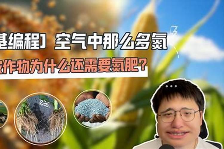 氮气的用途