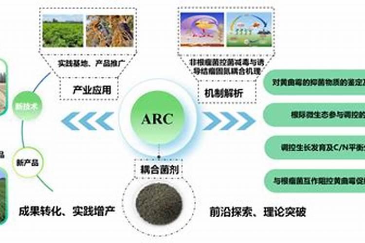 腐植酸水溶肥是什么肥料 腐植酸水溶肥料的作用有哪些