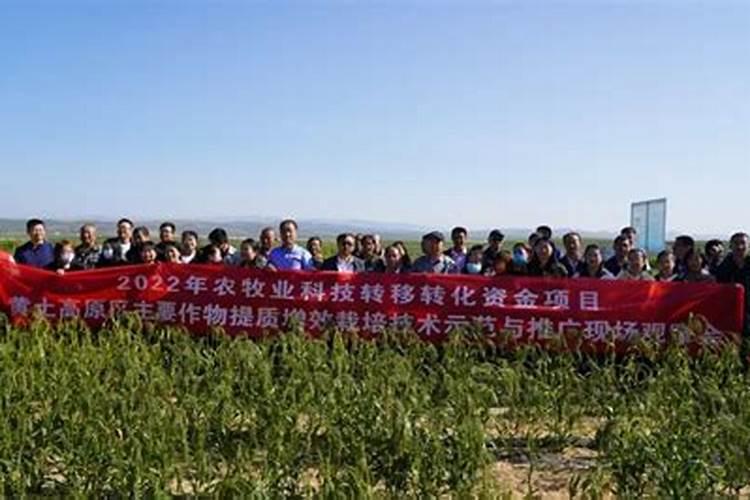 莲花水溶肥怎么样