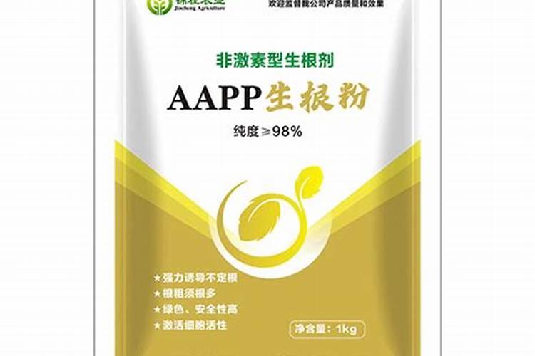 在不使用激素的情况下,用什么能使果树生根猛,果饱满？