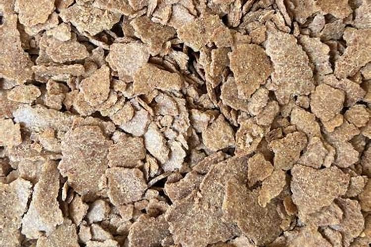 发霉的花生可以做肥料吗 怎样处理才能做花肥使用