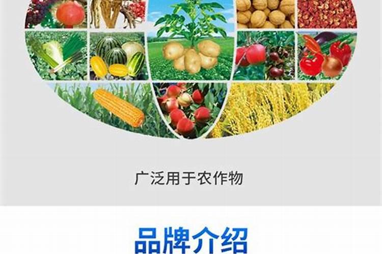 新乡市中原磷肥厂怎么样？