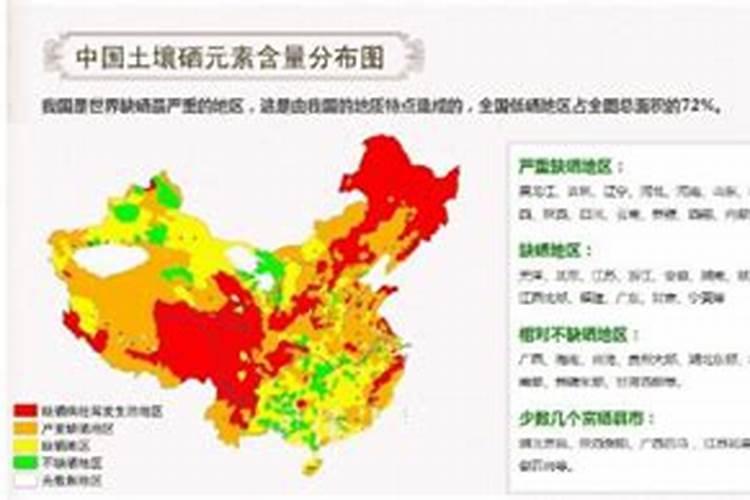 海南海口特产:石山黑豆
