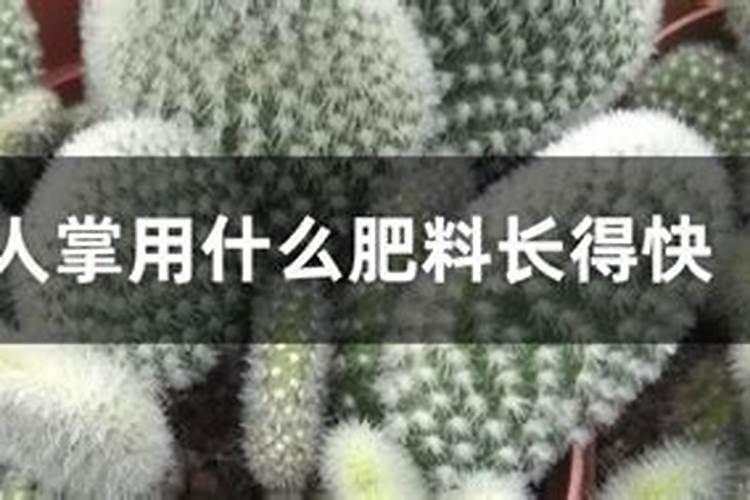 用什么给兰花施肥比较好