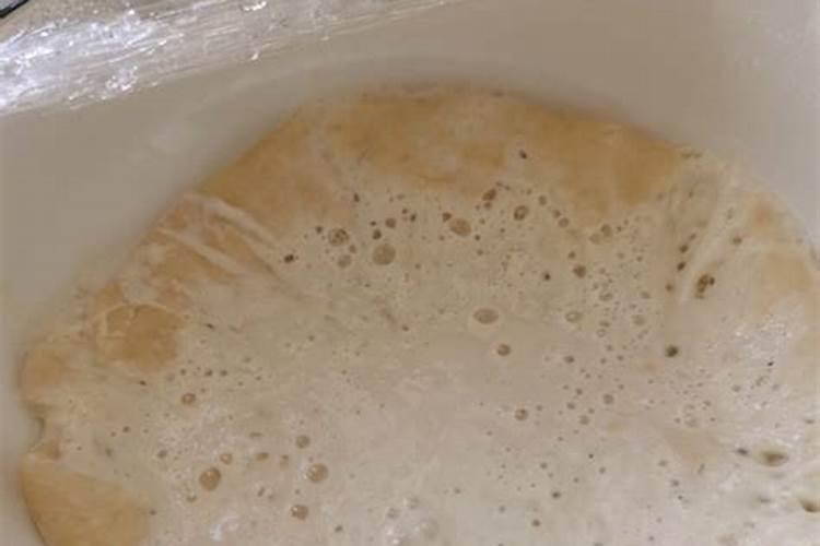 酵母粉种菜方法大全