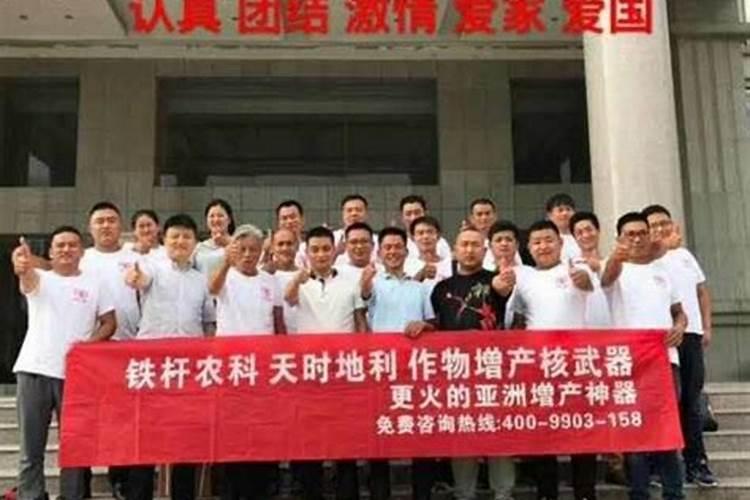 现在什么叶面肥最好